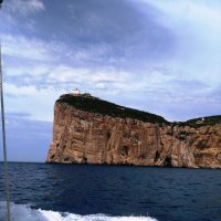 isola-dell-asinara-alghero